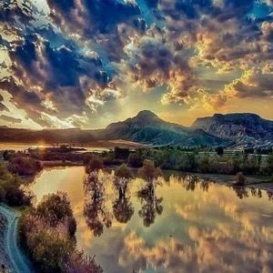 Meet your Posher, Steve